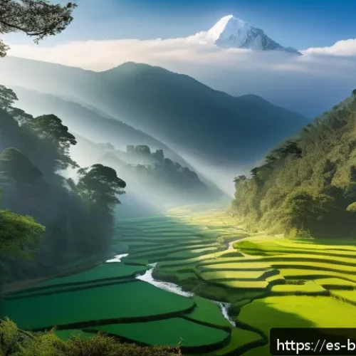 Home 17 부탄 국민의 민족성 - A serene Bhutanese mountain landscape during early morning mist, featuring lush green forests and cr...